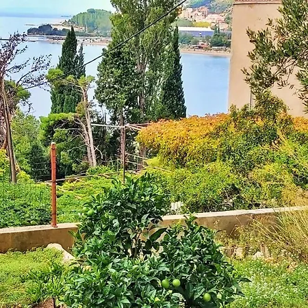 Macak Omiš