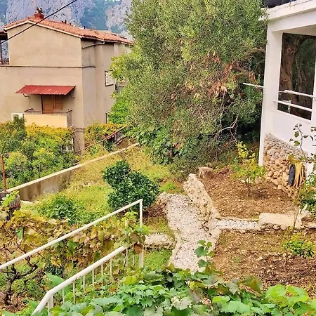 Macak Omiš